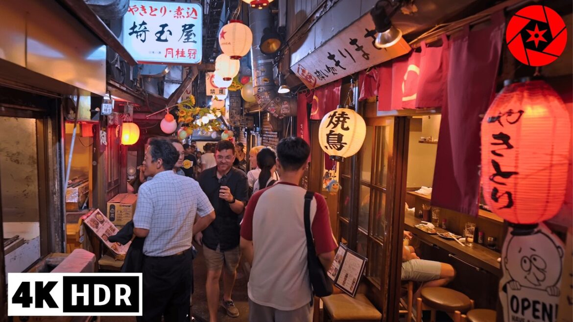 2025 Tokyo's BEST night spots - Shinjuku & Akabane - 4K HDR