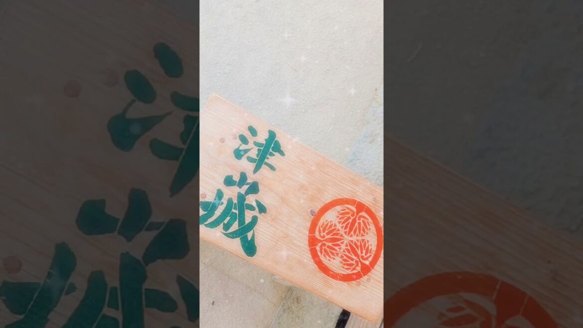 【津山城(鶴山公園)】#津山城  #鶴山公園  #岡山県津山市  #城めぐり