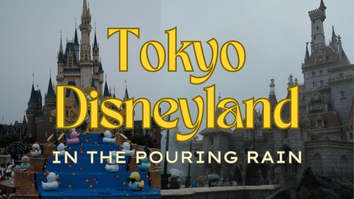 A Very Soggy Day at Tokyo Disneyland