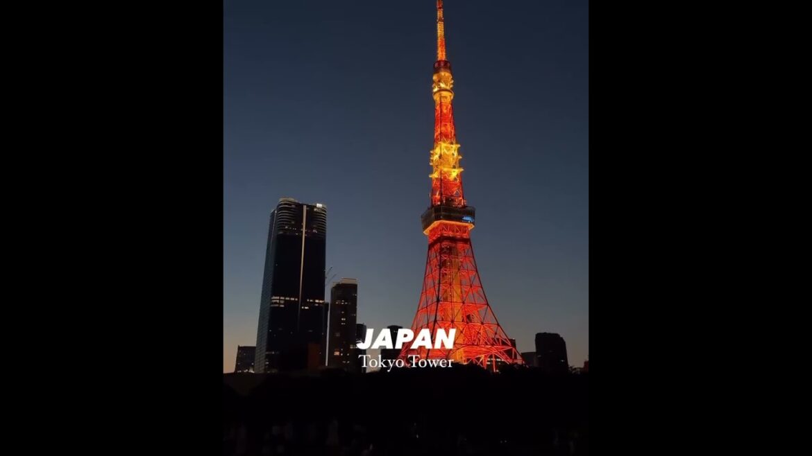 2025 is the year you’ll roam the streets of Tokyo, Japan 2025 is the year you’ll roam the streets of Tokyo, Japan