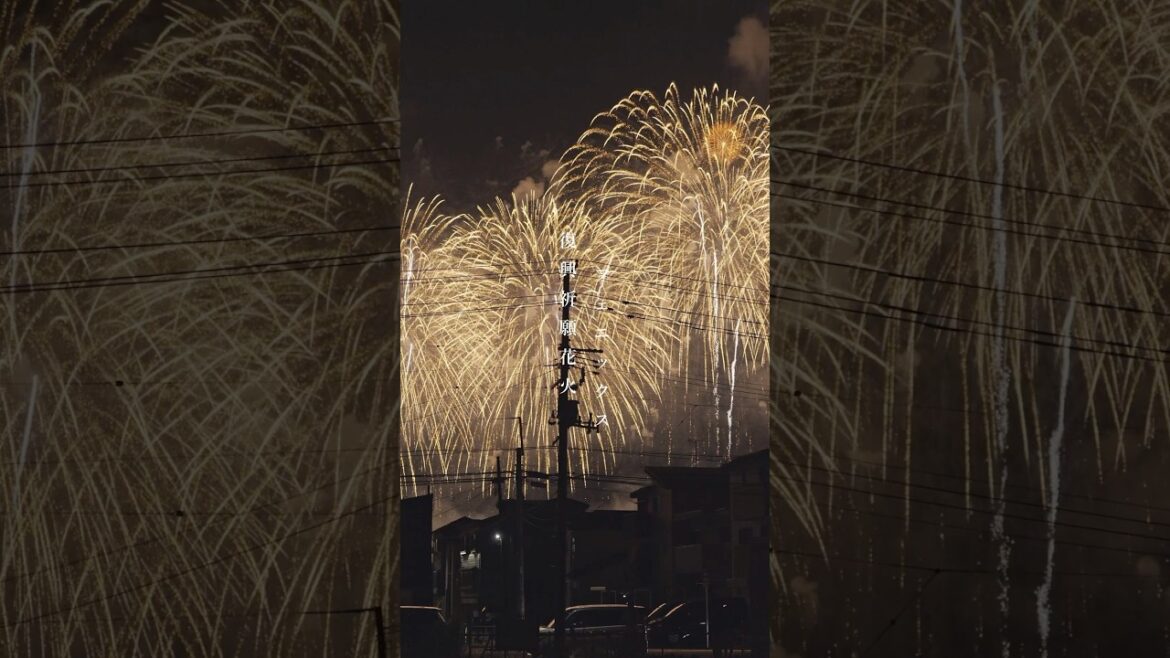 2025長岡まつり大花火大会 - 復興祈願花火フェニックス #長岡花火 #花火大会 #長岡まつり大花火大会