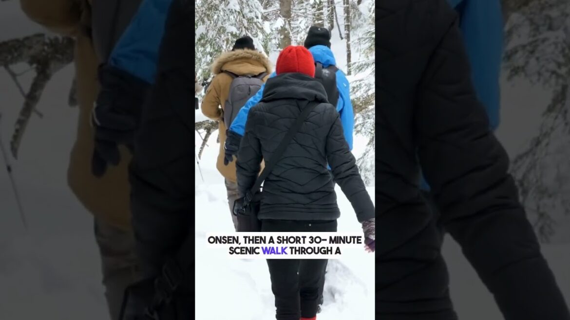 Nagano Snow Monkeys Nagano Snow Monkeys