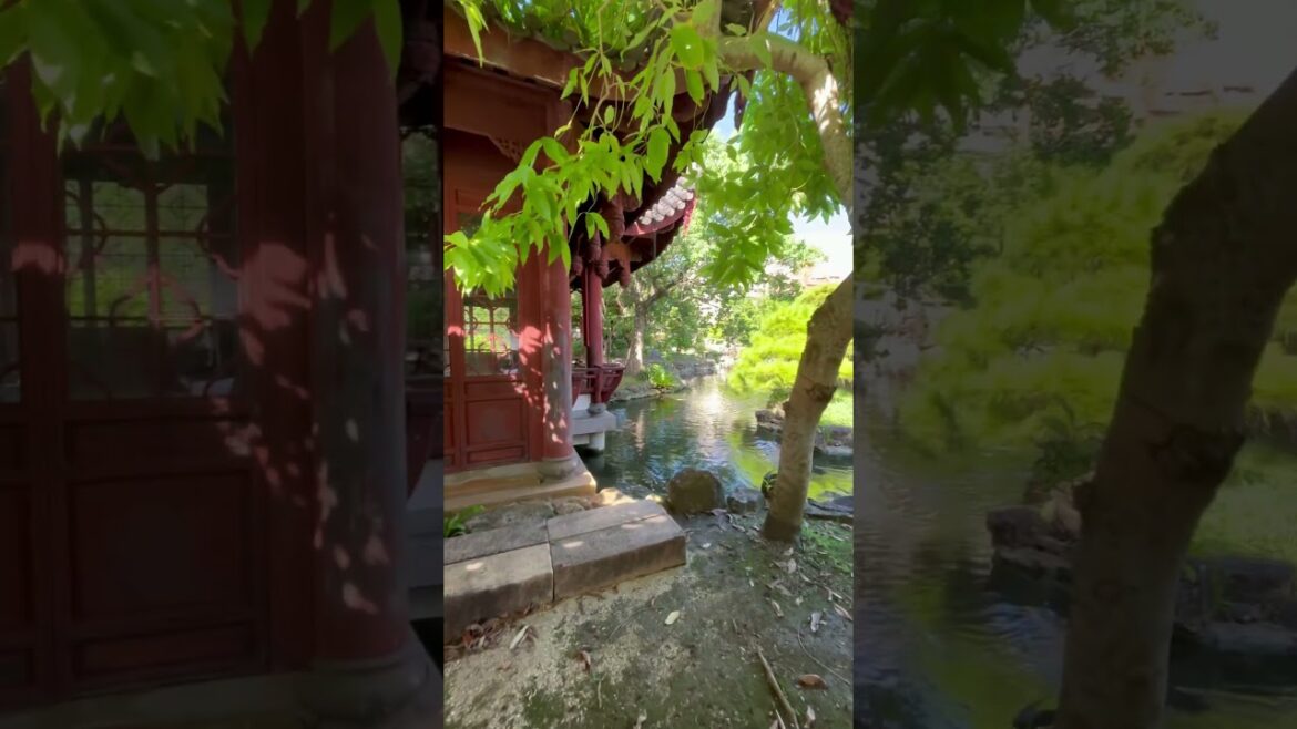 #japan #japao #travel #issoejapao #japantravel #garden #china #naha #okinawa #trip @alecsjapanlife