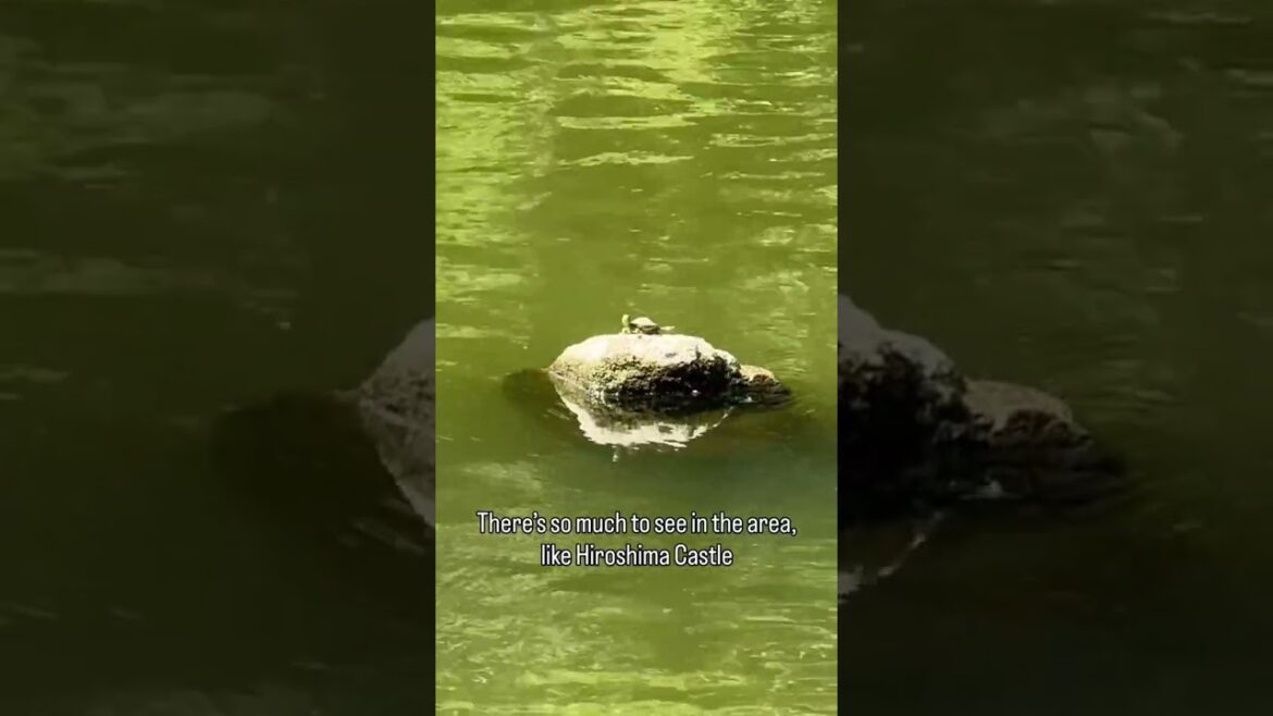 Hiroshima 80 Years On Hiroshima 80 Years On