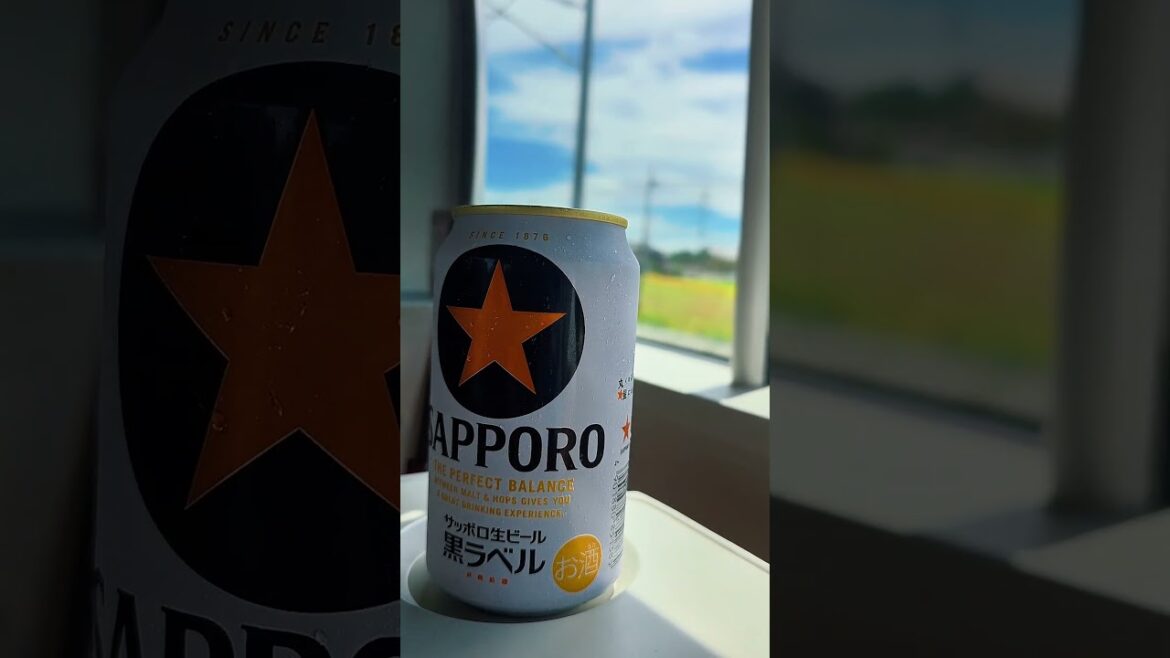 Headed to .... Sapporo Deska