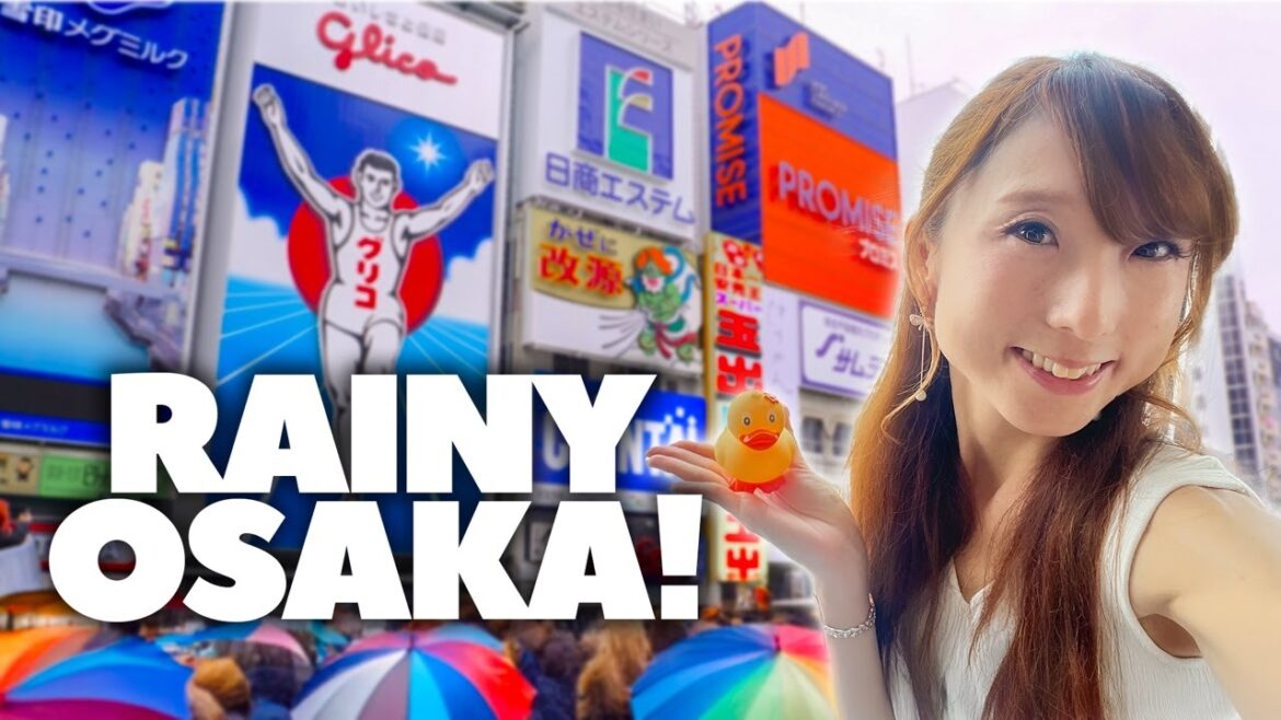 Live - OSAKA Rainy Morning