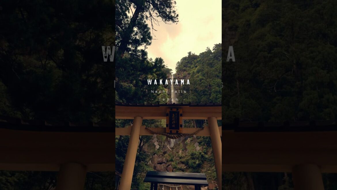 Nachi Falls - A temple located in Wakayama which is famous for its #natural  beauty #japan