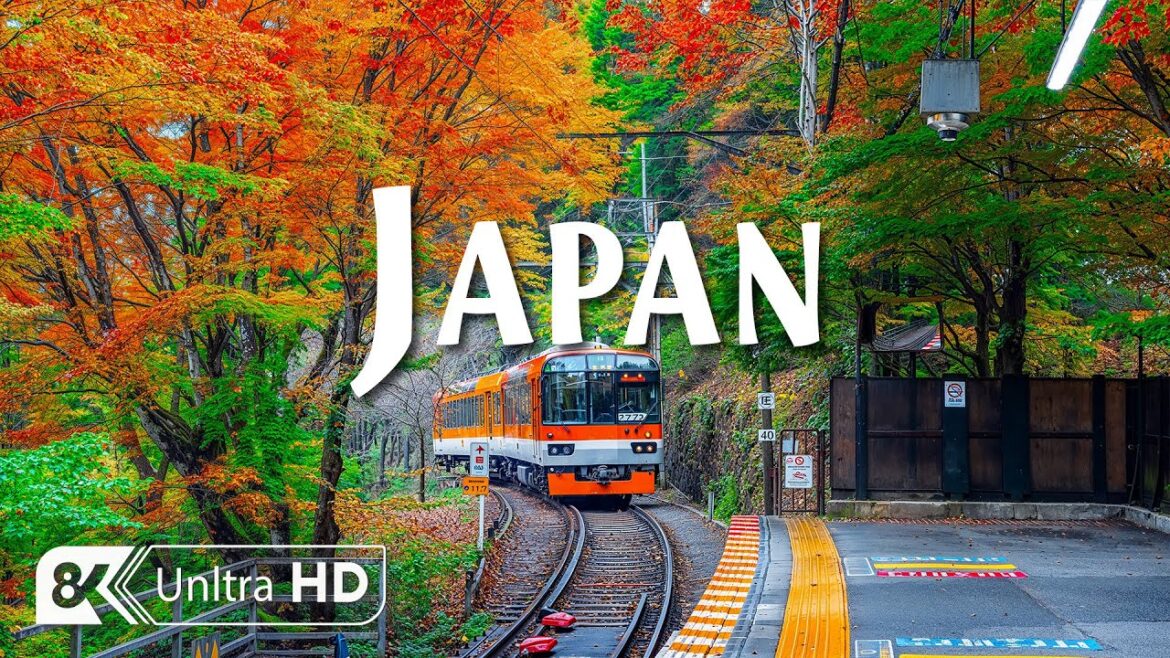 Wonders of Japan | Discovering the Most Captivating Places Across the Country | Travel 8K UHD Video