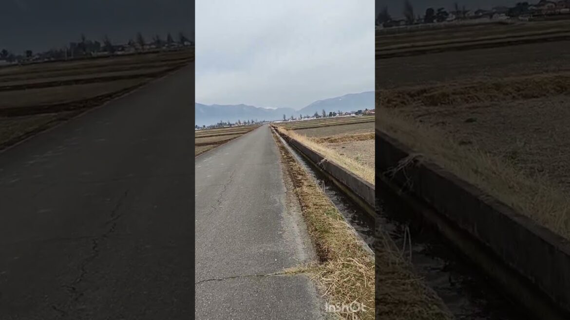 30 min Running Everyday 828th day - Okinawa vacation trip