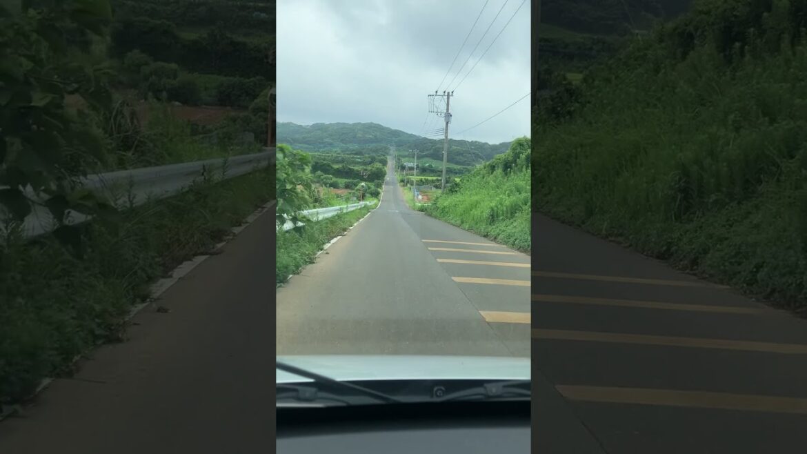 Straight road on Kabeshima Island in Karatsu City, Saga Prefecture Japan #travel #beautifulview