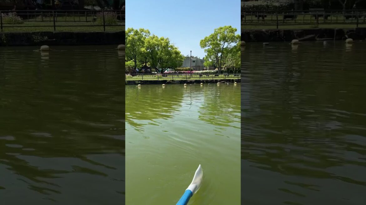 Scorching Summer and The Fun of Boating in a Lake in Chiba, Japan… #japan #chiba #boat