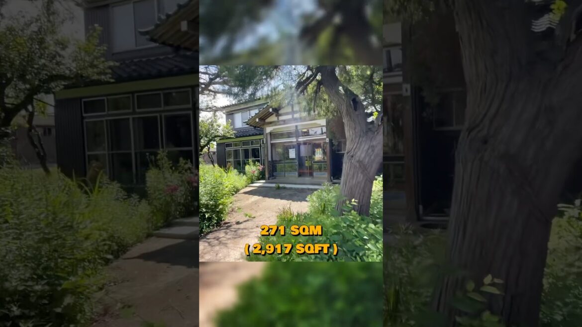 Niigata 8DK: Space to Dream, $109K #AkiyaHub #JapaneseHouse #VacationHome #InvestmentProperty #Japan Niigata 8DK: Space to Dream, $109K #AkiyaHub #JapaneseHouse #VacationHome #InvestmentProperty #Japan