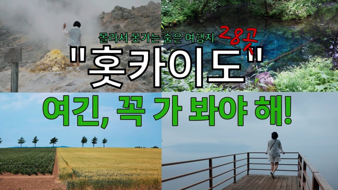 이 영상 하나로 홋카이도 완전 정복!!구석구석 진짜 여행지 28곳/홋카이도 맛집,명소,숙박까지/ 이 영상 하나로 홋카이도 완전 정복!!구석구석 진짜 여행지 28곳/홋카이도 맛집,명소,숙박까지/