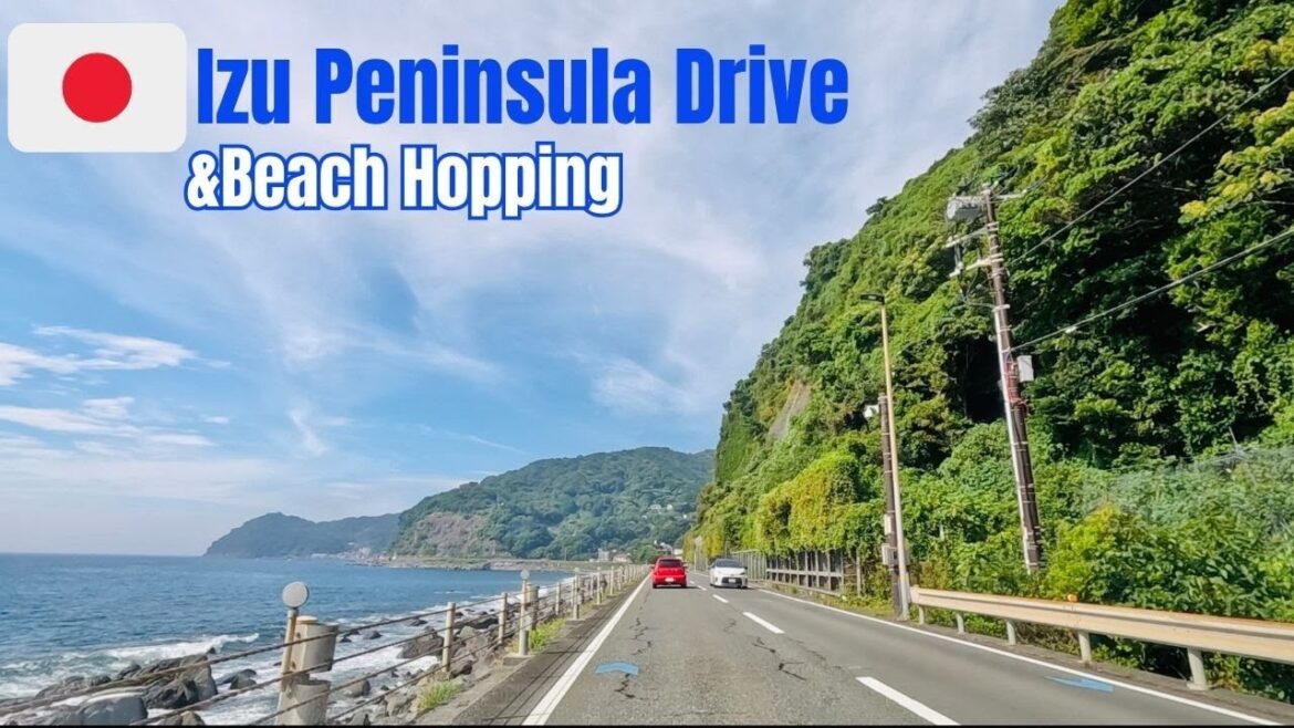 🇯🇵 One-Day Izu Peninsula Coastal Drive 🏝️ Beach Hopping in Japan | Summer 2025