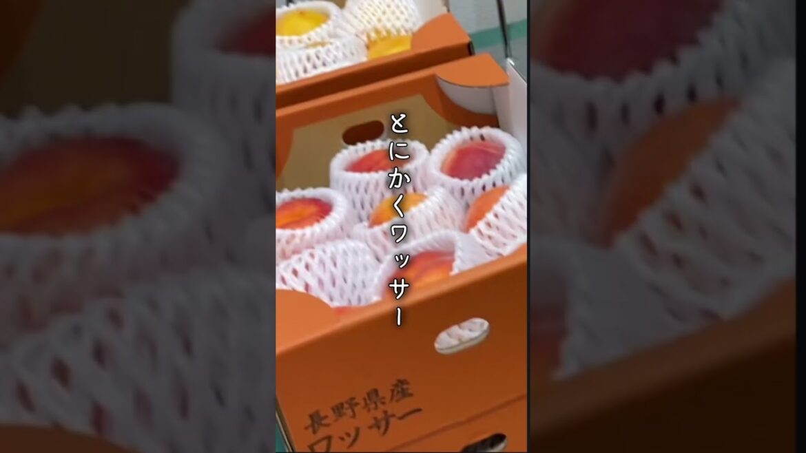 桃とネクタリンの間の「ワッサー」にくびったけ