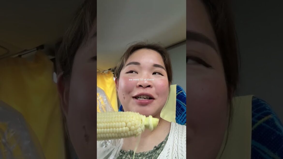 Day trip to Furano Flower field | Hokkaido Travel Vlog π―π΅πΊπΈ Day trip to Furano Flower field | Hokkaido Travel Vlog π―π΅πΊπΈ