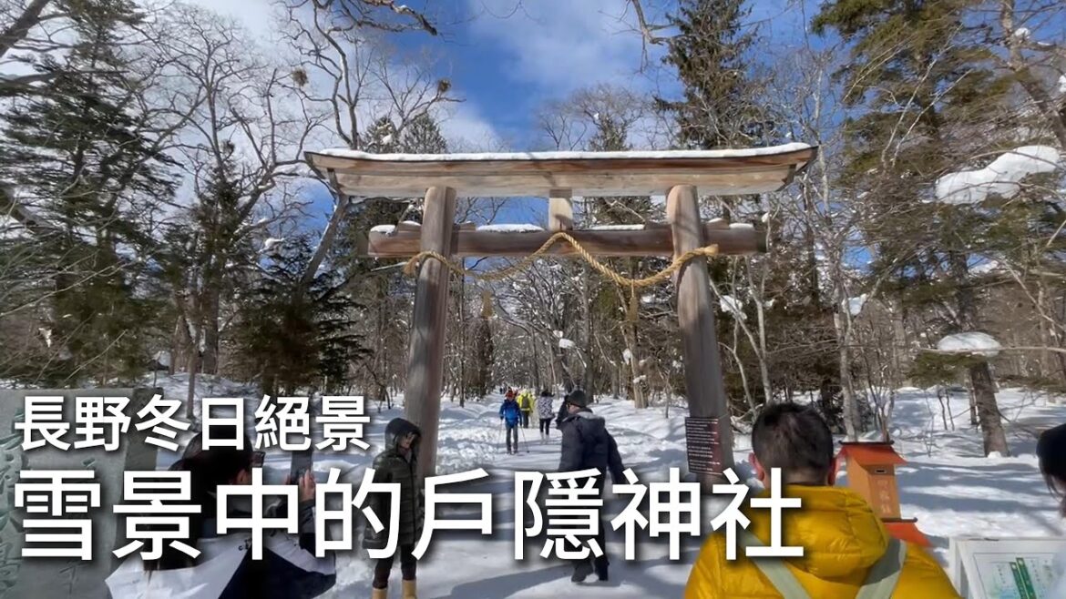 長野冬日絕景雪景中的戶隱神社｜長野必訪能量景點與雪中參拜體驗