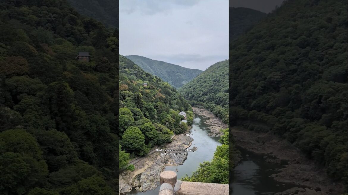 Best early morning itinerary for Kyoto? #travel #japan