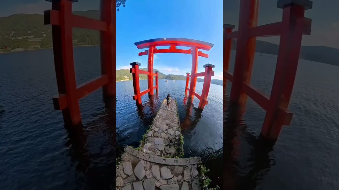 Hakone Ropeway with views over volcanic Owakudani  Lake Ashi iconic red torii