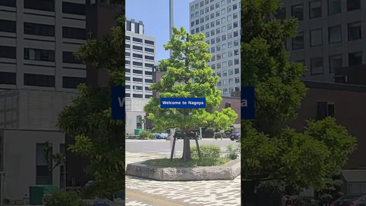 Nagoya Travel Guide β What to See, Eat, and Explore Nagoya Travel Guide β What to See, Eat, and Explore