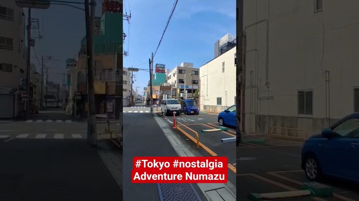 #tokyo #nostalgia #adventure  #numazu