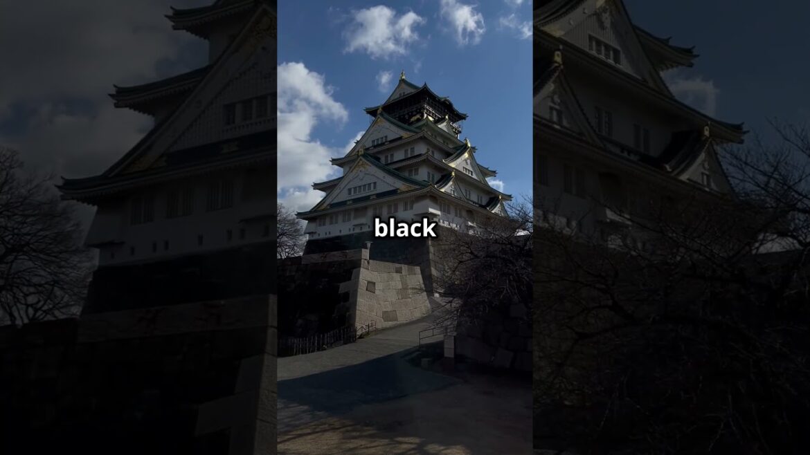 Top 5 Must Visit Places in Okayama, Japan 🇯🇵🌸💥 #japan #facts #japaneselandmark