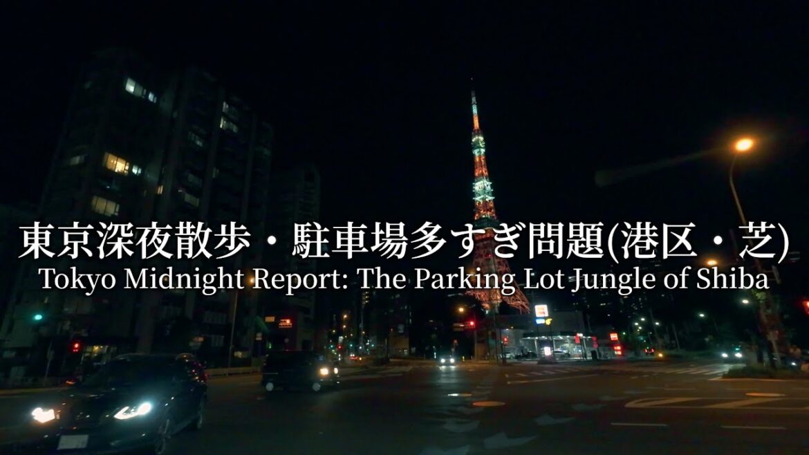 Tokyo Midnight Report: The Parking Lot Jungle of Shiba