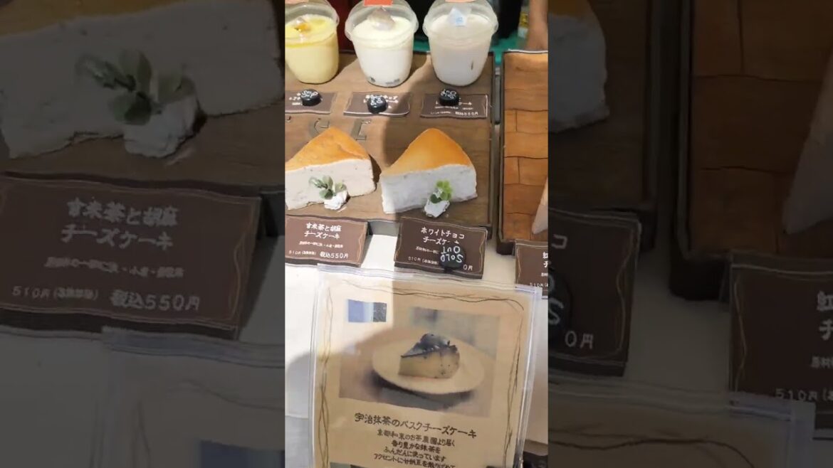 cheesecake  Fujieda, Shizuoka, Japan