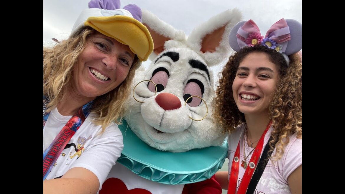 2 DIA DISNEYLAND TOKYO CON VACATION PACKAGE UNLIMITED