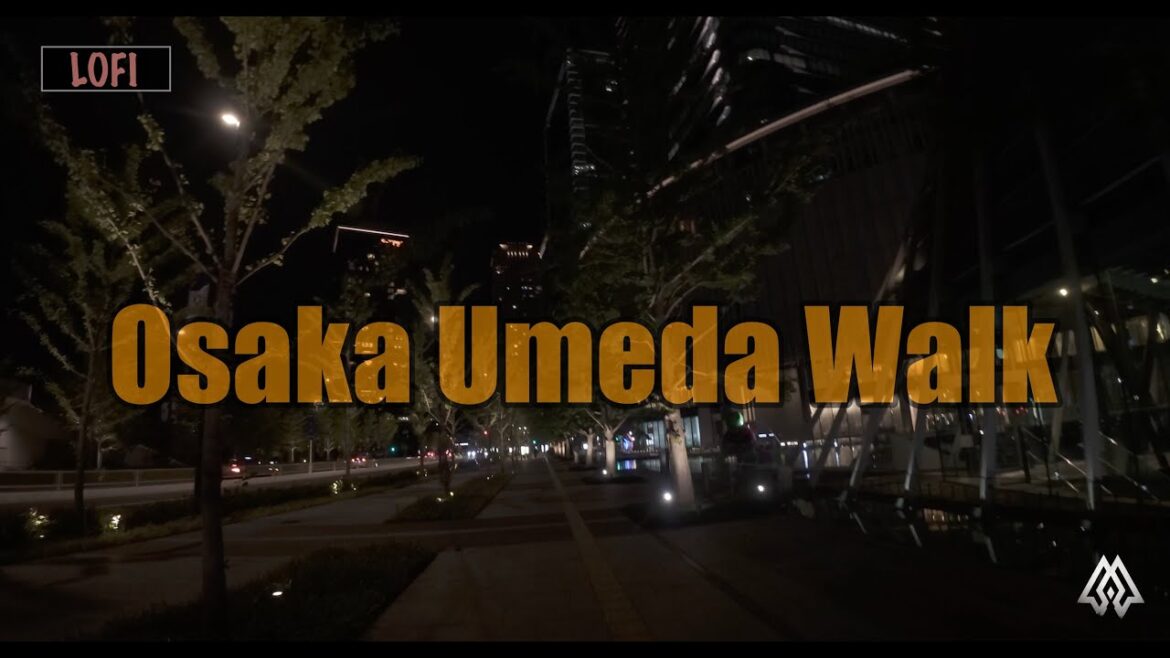 [Lofi Walk] Osaka Umeda Night Walk | A Melody for a Quiet Night