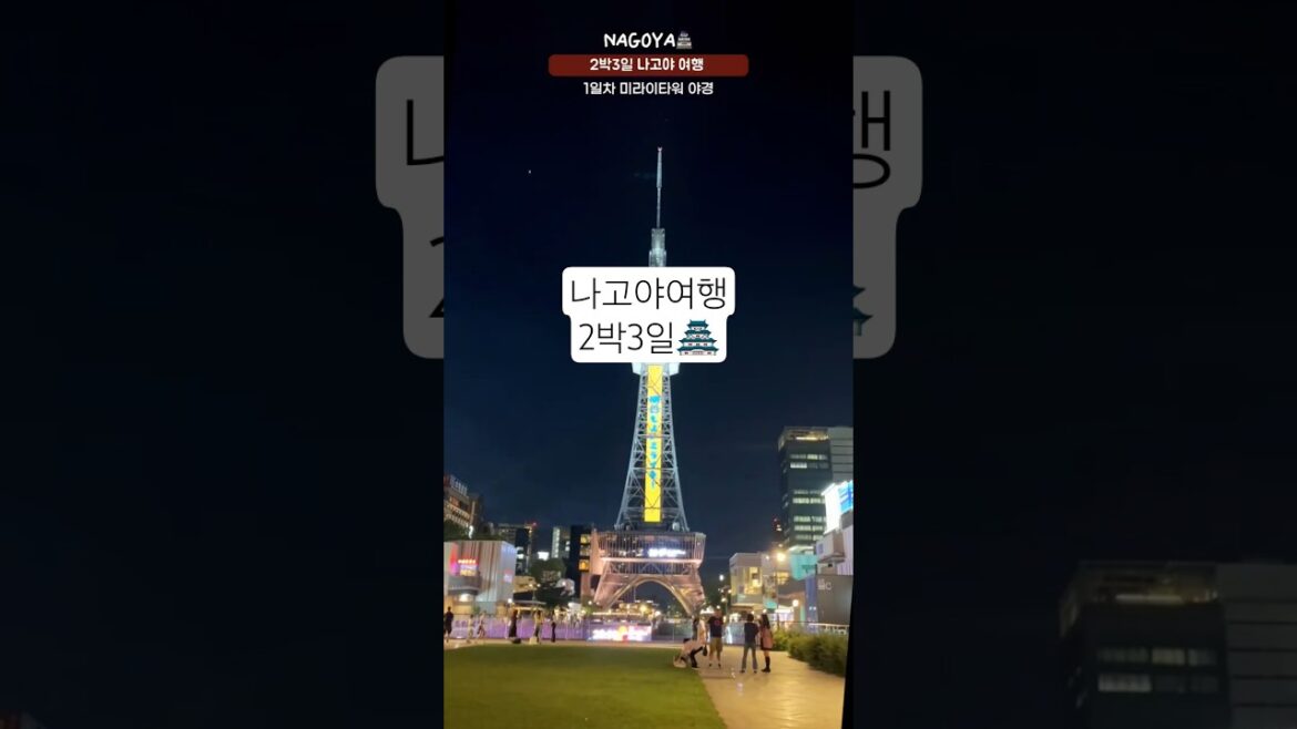 나고야 여행 이렇게 하세요! 다카야마+시라카와고 원데이투어까지 🎏