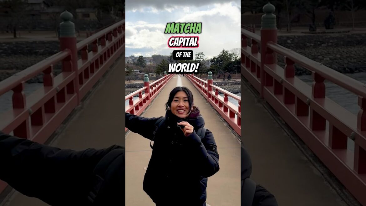 The WORLD’S MATCHA CAPITAL!