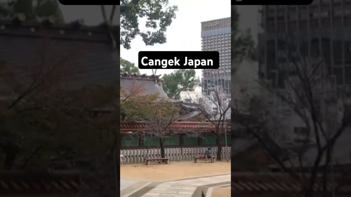 Kobe trip#shorts #japan #japantravel