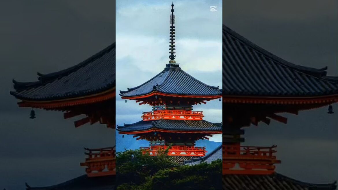 japan tour #japan #japantravel #japaneseculture #japanvlog #japanlife #tokyo