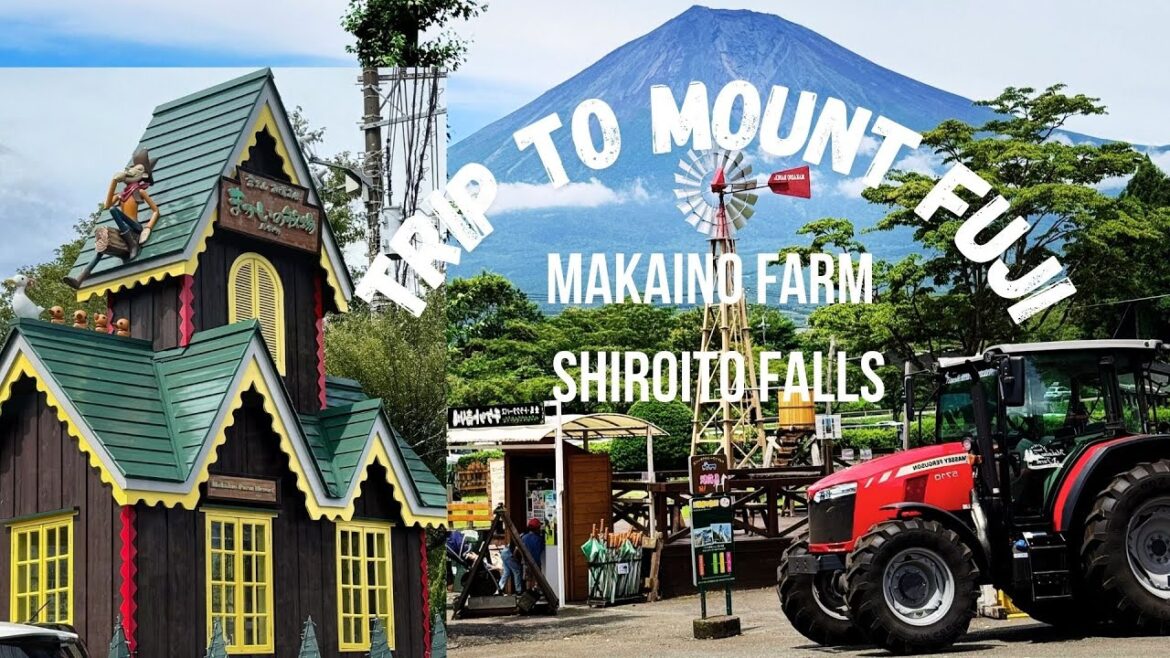 JAPAN DIARIES: EPIC DAY TRIP TO TOURIEST SPOTS ARROUND FUJI! #mountfuji #travel #familytraveljapan