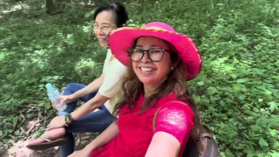 Sunflower field in Sakura City,Japan #sunflower #sunflowerfield
