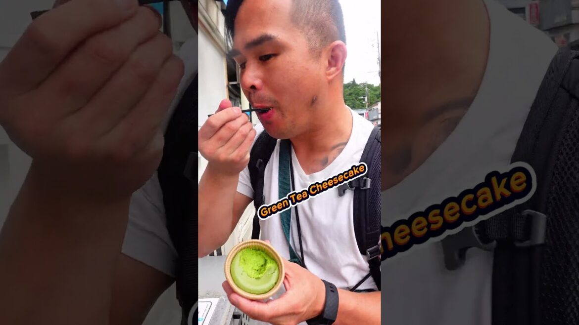 Things to do in Hakone,Japan 🇯🇵-Mt.Fuji-Pirate ship-Kurotamago (Black Egg)-Green Tea Cheesecake-Soba