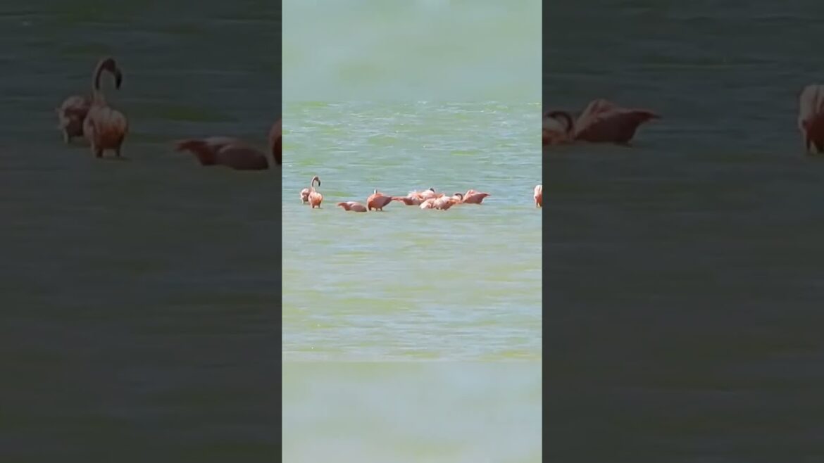 La Importancia de la Sal: Energía y Limpieza en Nuestras Vidas