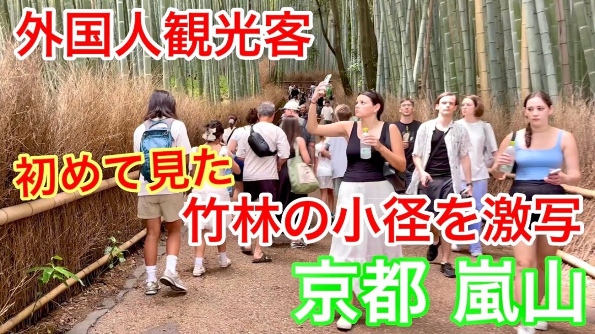 2025年8月13日 外国人観光客は初めて見た竹林の景色を激写 京都嵐山を満喫 Kyoto Arashiyama Bamboo Forest Path
