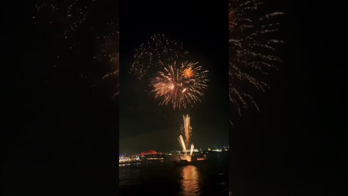 花火の花言葉は”口実”なんだって。 #shorts #花火 #神戸 #vlog 花火の花言葉は"口実"なんだって。 #shorts #花火 #神戸 #vlog