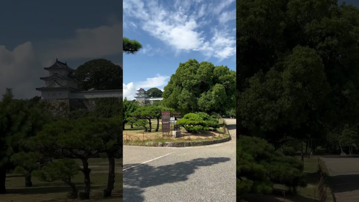 【KOBE】Must-See Tourist Attraction – Akashi Castle Park 【KOBE】Must-See Tourist Attraction - Akashi Castle Park