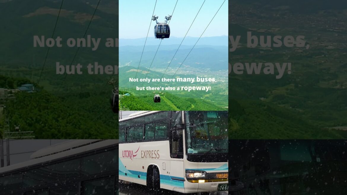 How to get here 〜Lake Okama（Mt.Zao）〜 #japan #japantravel #zao #fyp #viralvideo