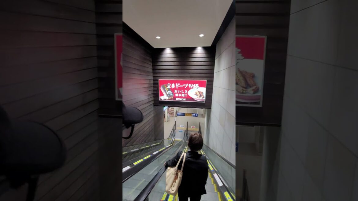 Kumamoto arrival, My wife’s family ancestral Homeland Kumamoto arrival, My wife's family ancestral Homeland