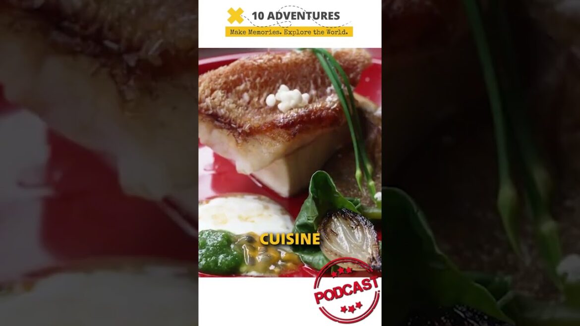 Cycling Through Okinawa | A Perfect Week of Coastal Views & Culture 🚴‍♂️🌺