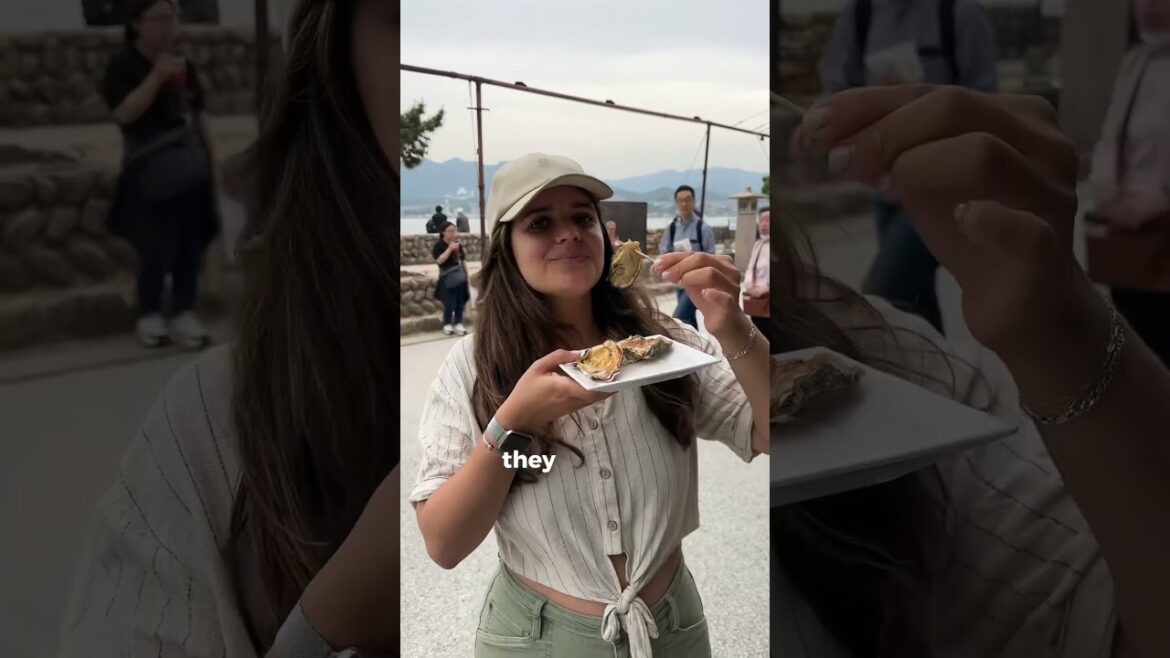 The floating tori you neef to visit🥰 ⛩️ because Hiroshima is more than War History