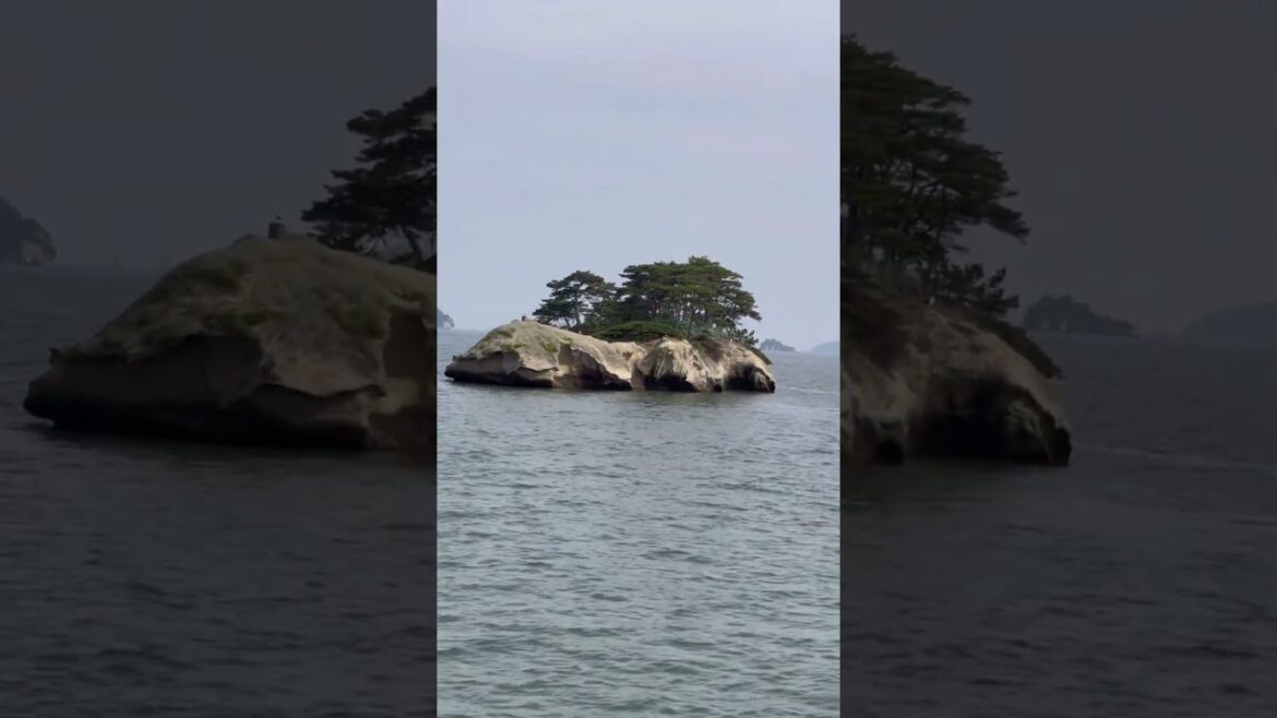 Shimashima #shorts#matsushima#sendaijaoan