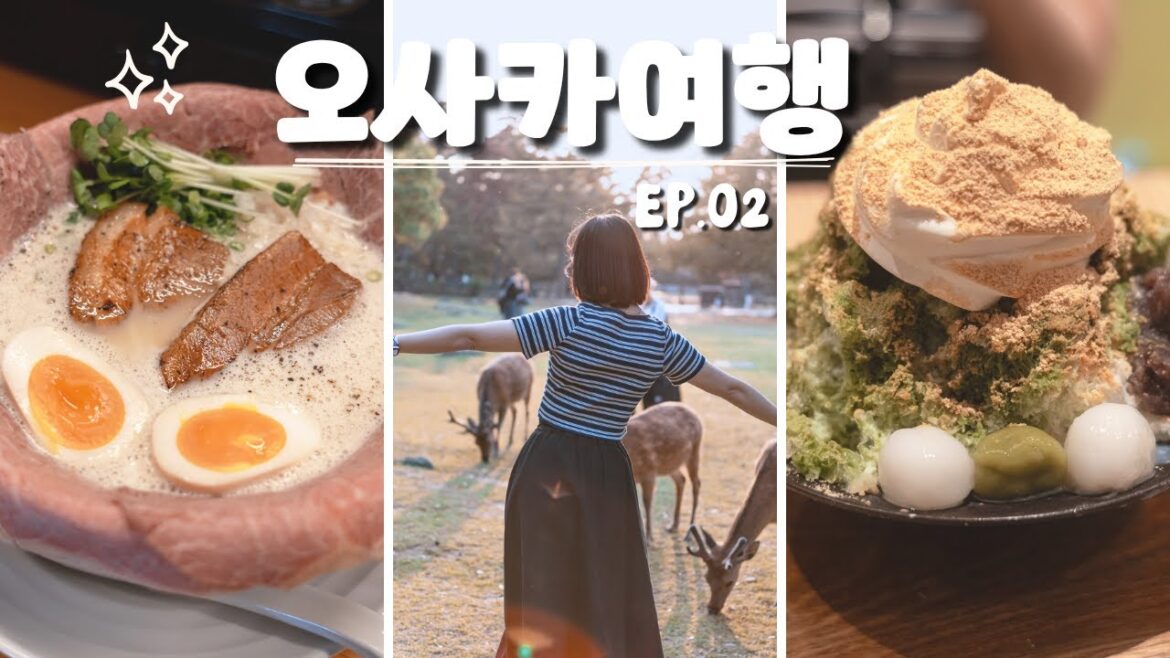 🇯🇵 오사카 현지 맛집 먹방 🍜 | 나라 사슴공원 하루 코스 여행