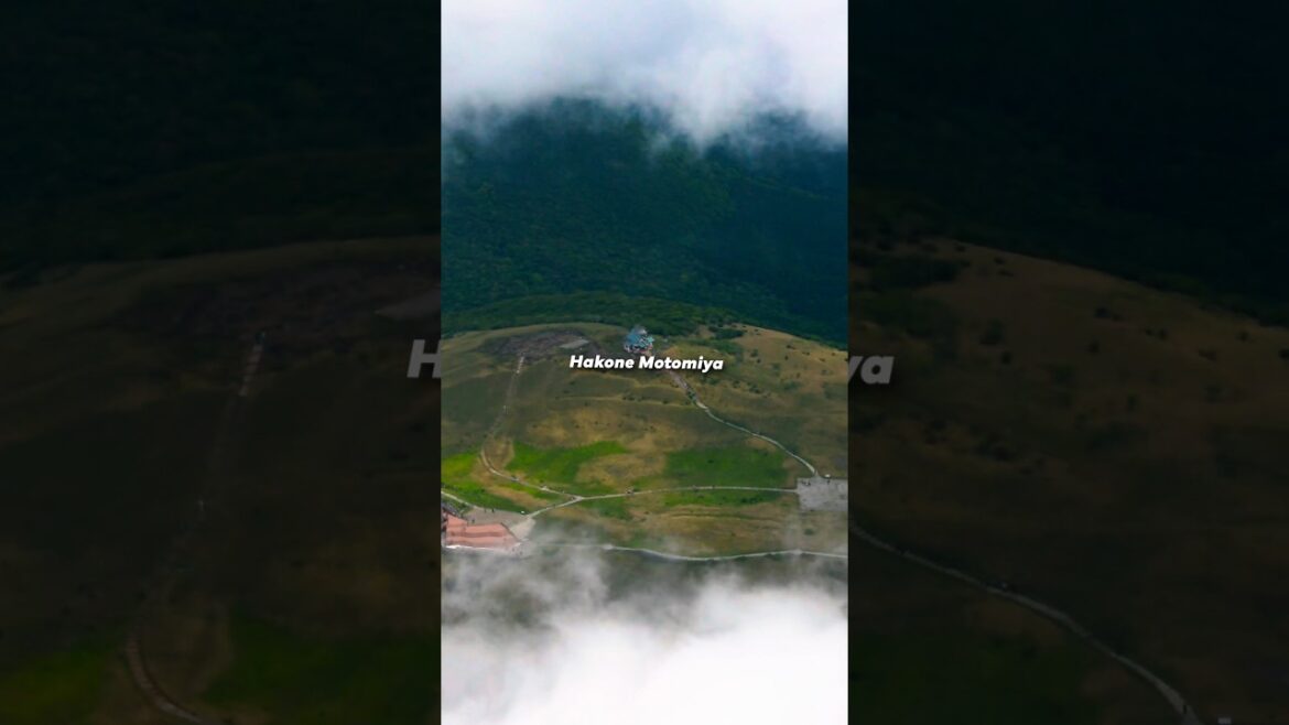 Shrine in the Sky: Hakone Motomiya Above the Clouds β©οΈβοΈ #japan #travel #zen Shrine in the Sky: Hakone Motomiya Above the Clouds β©οΈβοΈ #japan #travel #zen