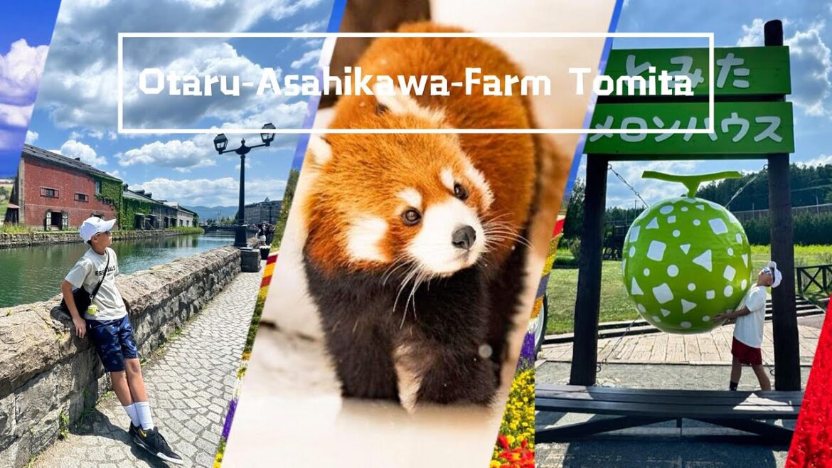 [Travel With EZ #22] 🌞🚞 Hokkaido Summer Vlog | Otaru, Asahikawa & Farm Tomita Adventure! 🌸🍧