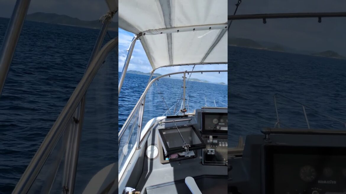 View from behind the captain seat #travel #okinawa